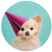 http://dev.perezhilton.com/wp-content/uploads/2020/04/cuteness.png